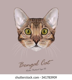 Bengal cat animal cute face. Vector young brown tabby purebred American Bengal kitten orange head portrait. Realistic fur portrait of green eyes kitty isolated on beige background.