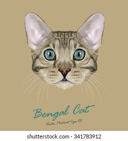 Bengal cat animal cute face. Vector young silver gray tabby purebred American Bengal kitten head portrait. Realistic fur portrait of blue eyes kitty isolated on beige background.