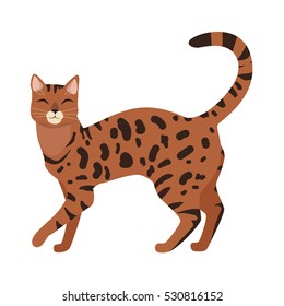 Bengal cat breed. Cute spotted, cat walking with raised tail flat vector illustration isolated on white background. Purebred pet. Domestic friend and companion animal. For pet shop ad, hobby concept