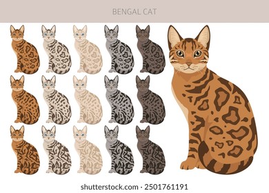 Bengal Cat clipart. All coat colors set.  All cat breeds characteristics infographic. Vector illustration