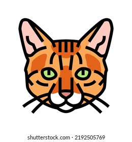 bengal cat cute pet color icon vector. bengal cat cute pet sign. isolated symbol illustration