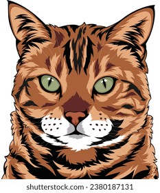 Bengal Cat Face Vector illustrations for Graphic Design, t-shirt prints, posters, and Mugs
