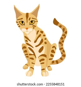 Bengal cat - hand drawn vector illustration. Flat color design.