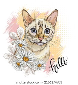 Bengal cat head in camomile flowers. Hello lettering quote. Hand drawn style print. Vector illustration isolated on white. T-shirt composition, print, design, stickers, sublimation, decor