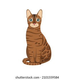 El gato bengalí sobre un fondo blanco. Diseño de caricaturas.

