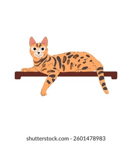 Bengal cat pedigree or hybrid cat breed. Vector illustration of purring animal or domesticated feline mammal. Kitten or kitty sign, pussycat or catling. Agile pet companion. House fauna. Zoology theme