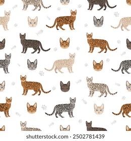 Bengal Cat seamless pattern. All coat colors set.  All cat breeds characteristics infographic. Vector illustration