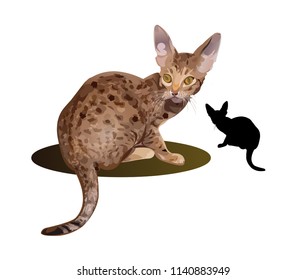 Bengal cat vector illustration isolated on white background