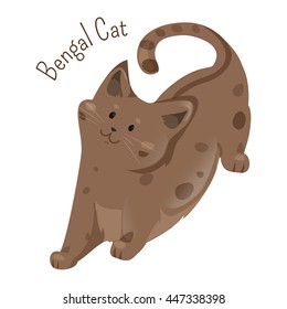 Bengal isolated on white. Breed developed to look like exotic jungle cats such as leopards, ocelots, margays. Furry mammal. Part of series of cartoon kitten species. Child fun pattern icon. Vector