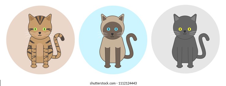 Bengal, Siamese and British shorthair cute cartoon cats vector illustration. 3 popular cat breeds with different eye colors.