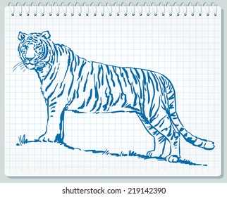 Bengal Tiger