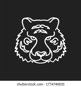 Bengal tiger chalk white icon on black background. Panthera Tigris. National Indian animal. Symbol of power and strength. Extant big cat species. Lord of the Jungle. Isolated vector chalkboard