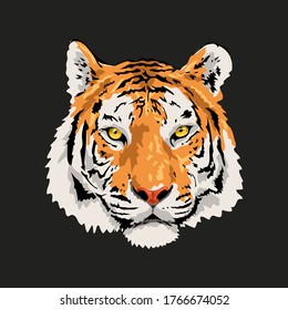 Bengal Tiger Head Vector Illustration Stock Vector (Royalty Free ...