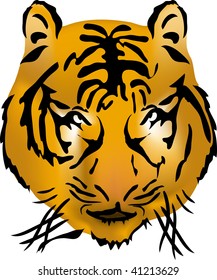 Bengal tiger head, vector illustration