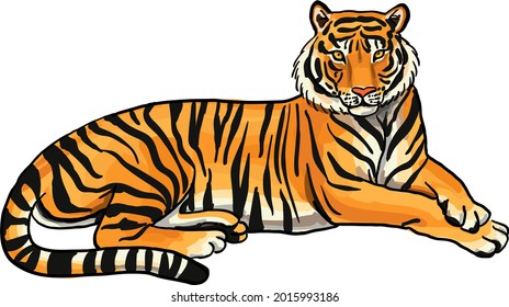 bengal tiger lying vector image