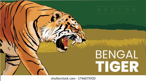 Bengal Tiger Roaring and Walking vector