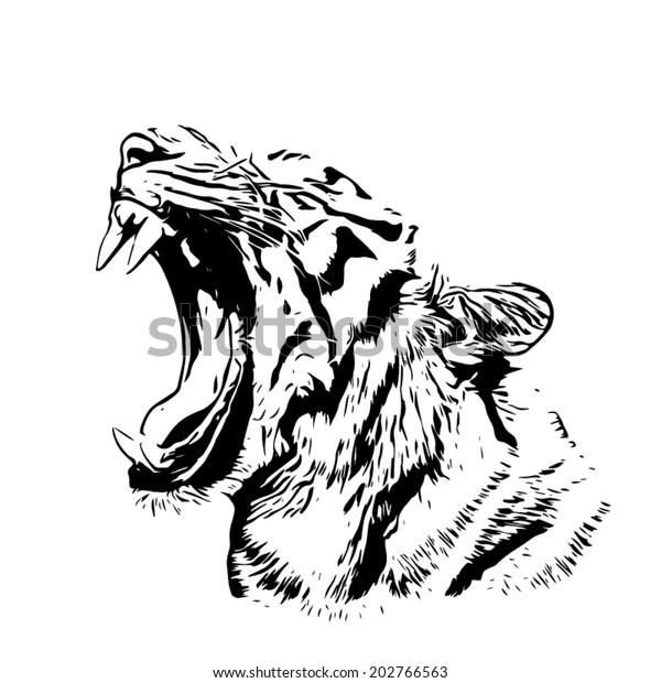 ベンガルの虎のスケッチシルエット 開いたチャップを持つ最大の猫のマスク 最も危険で強力な獣の野性の美しさ 白黒のベクターイラスト のベクター画像素材 ロイヤリティフリー
