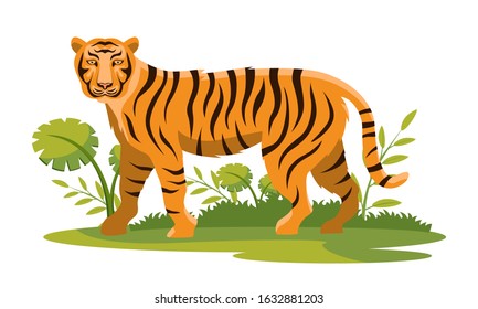 bengal tiger standing isolated vector illustration