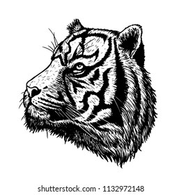 Bengal tiger vector by hand drawing.Tiger vector art highly detailed in line art style.Black and white tattoo for paint.