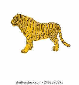 Bengal tiger vector design with left side