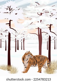 Bengal tiger walks through the winter pine forest. Realistic vertical vector landscape