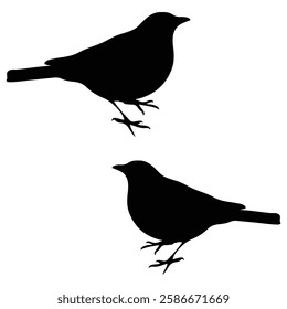 Bengal Tigers Silhouette, Bichon Frises  illustration, Ball icon Silhouette, Bread Silhouette illustration Bluejay bream