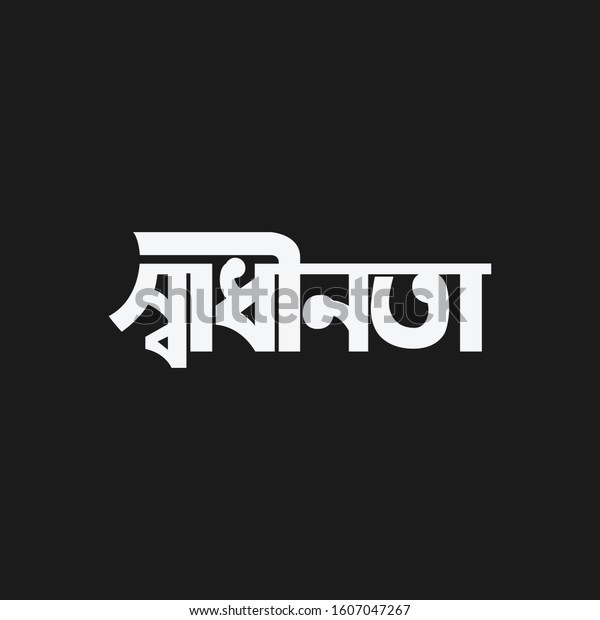 Bengali Typography Vector Translation Text Freedom Stock Vector ...