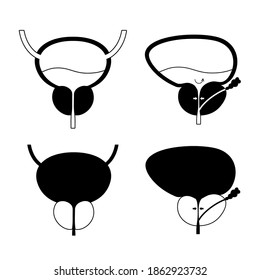 Logo benigno de hiperplasia prostática para clínica. Problema de vejiga normal y BPH. Dolor en el concepto del sistema reproductivo masculino. Órganos internos humanos, glándula prostática, anatomía de vejiga e ilustración vectorial plana.