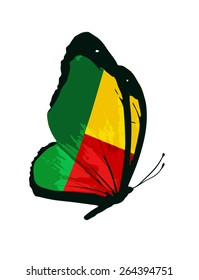 Benin flag butterfly - vector