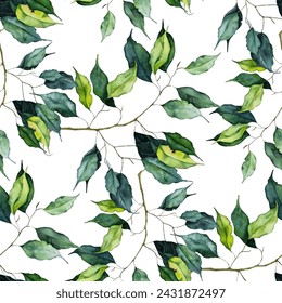 Benjamina Ficus houseplant tree branches vector seamless pattern. Evergreen exotic plant twigs, green leaves. Ficus Benjamina green foliage on branches. Textile print design.