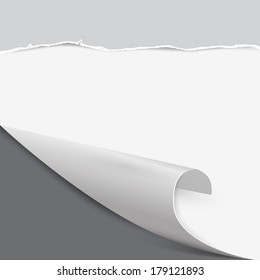 Bent Paper Corner, Retro Cardboard, Torn Papers Background