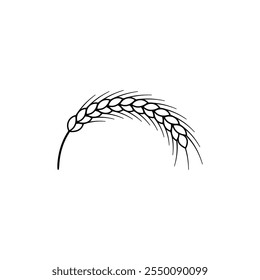 Bent spikelet. A semicircular curved shape.