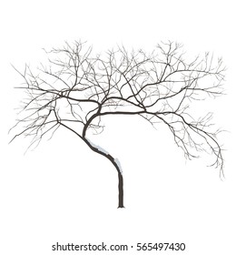 The bent tree with the snow on branches