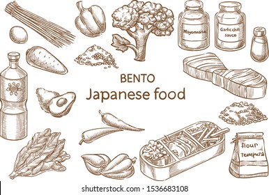 Bento.  Japanese food. Ingredients. Vector sketch
