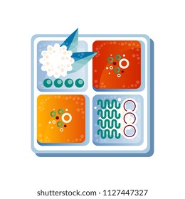 Bento, traditional Japanese lunch box vector Illustration on a white background
