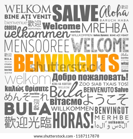 Benvinguts (Welcome in Catalan) word cloud in different languages, conceptual background
