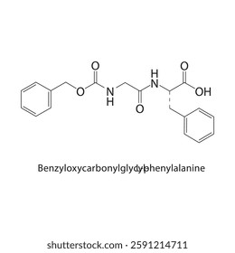 Benzyloxycarbonylglycyl-L-phenylalanine skeletal structure.Peptide compound schematic illustration. Simple diagram, chemical formula.