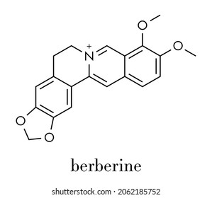 Berberine herbal medicine molecule. Skeletal formula.