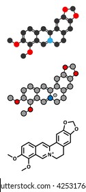 Berberine herbal medicine molecule. Stylized 2D renderings and conventional skeletal formula.
