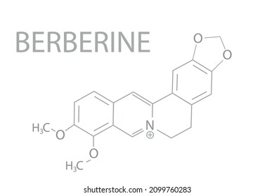 Berberine molecular skeletal chemical formula.