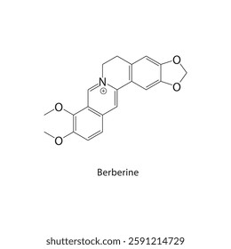 Berberine skeletal structure.Alkaloid compound schematic illustration. Simple diagram, chemical formula.