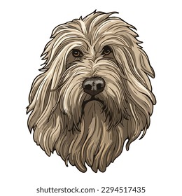 Bergamasco Shepherd Dog Flat Icon Isolated On White Background