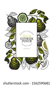 Bergamot branch design template. Kaffir lime frame. Hand drawn vector fruit illustration. Retro style citrus background.