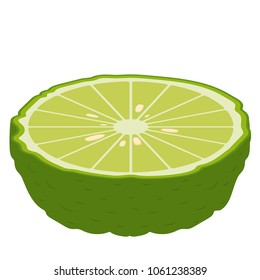 Bergamot cartoon vector. free space for text. wallpaper. background.
