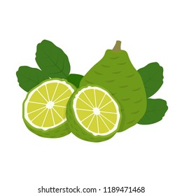 Bergamot cartoon vector. symbol.