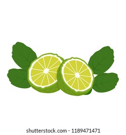 Bergamot cartoon vector. symbol.