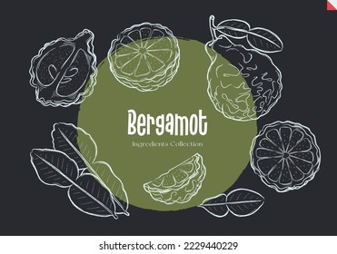 Bergamot, Chalk sketches, Ingredient Collection