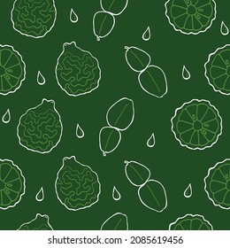 Bergamot (Citrus hystrix) leaf, fruit, fruit cross section, seamless pattern. Hand drawing vegetables on green background vector illustration.