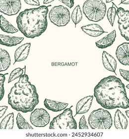 Bergamot engraved sketch border background. Hand drawn vector illustration with citrus plant. Vintage texture label with Seville orange bergamot tree fruit, leaf. Food ingredient, essential oil, herb