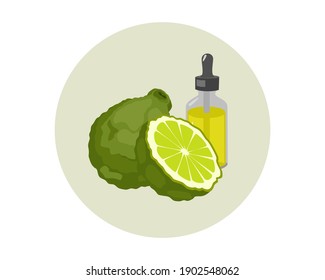 Bergamot essential oil and fresh green bergamot or kaffir lime fruit with cut in half slice isolated on white background. Icon vector illustration.